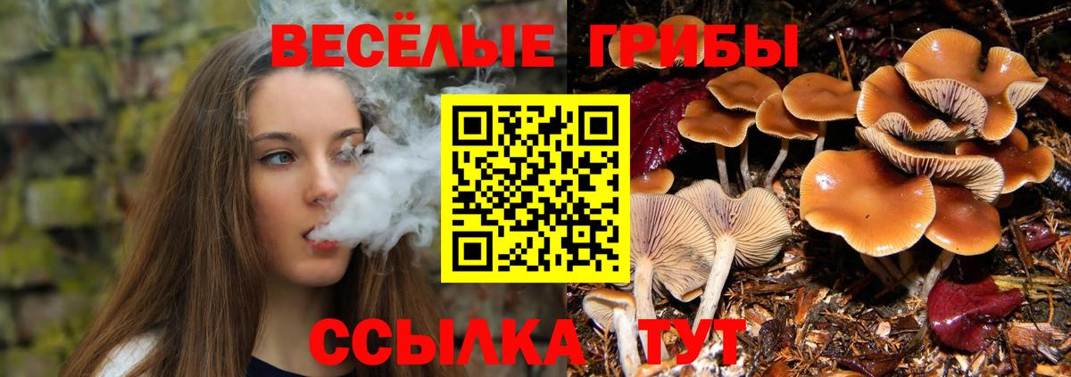Кандалакша  Псилоцибиновые грибы ЛСД  Псилоцибиновые грибы GOLDEN TEACHER  Вход с VPN 